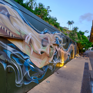 International Street Art-Brisbane Unexpected-Brisbane Unexpected-Brisbane Tours-Brisbane Must Do-What To Do In Brisbane